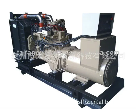 Cheap supply 30kw Power Saving generator biogas engine with quality certification