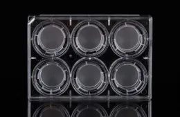PC Memberane Cell Culture Inserts for 6-well plates