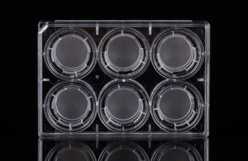 PC Memberane Cell Culture Inserts สำหรับแผ่น 6 หลุม
