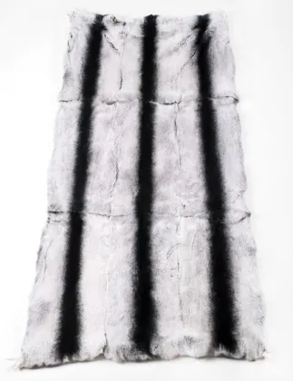 Rex Chinchilla Rex Rabbit Plate Dyed Chinchilla