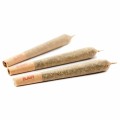 Classic Pre-Rolled Cone King Size (Bulk)