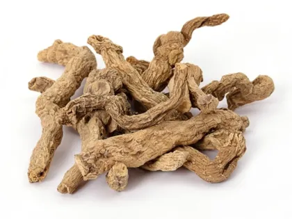 Dried Polygonatum Odoratum Root Slices