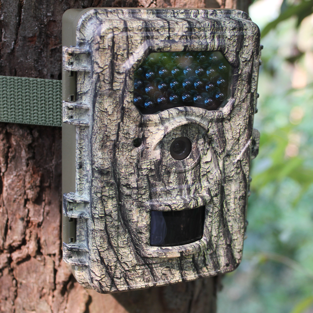 bark hunting camera