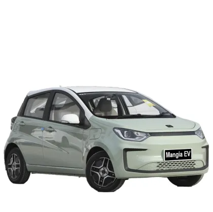 in 2023 China Will Sell New Energy Adult Electric Car Sol E10X EV Mini SUV at a Low Price