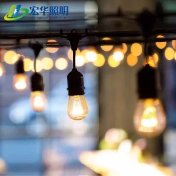 Outdoor Globe Lights for Wedding & Christmas Decorations