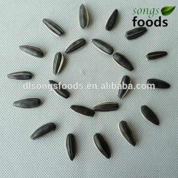 2014 Chinese Big Size Black Sunflower Seeds