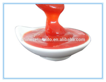 wholesale 340g ketchup with Plastic Bottle from China tomato company