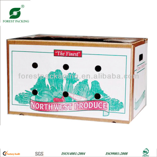 DURABLE CORRUGATED VEGETABLE PACKING CARTON