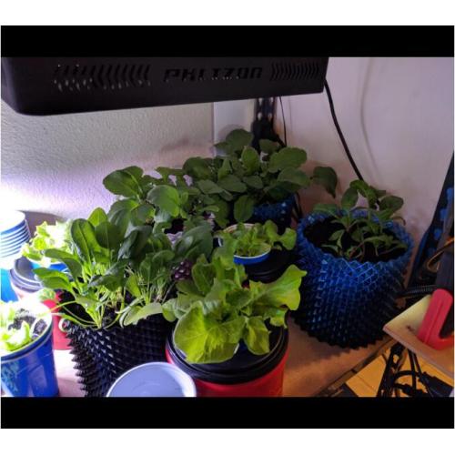 เต็มสเปกตรัม LED พืชในร่มเติบโตโคมไฟแสง