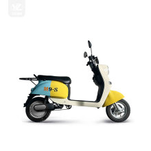 High Quality Adults Electric Motorcycle New Design Super Power 2000W Brushless Motor Racing Chopper with 72V Lithium Battery