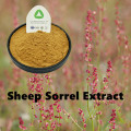 Super Root Powder Radix 10:1 Organic Sheep Sorrel Extract Powder Supplier