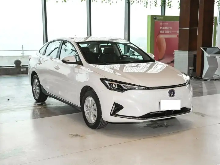 Cheap New Energy Vehicle 2024 Electric Vehicle