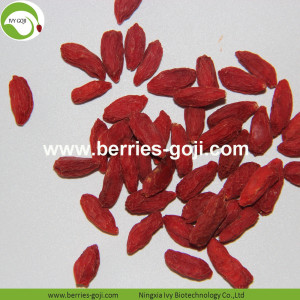 Factory Wholesale Top Quality Pack Wolfberries