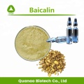 Scutellaria Baicerensis-Wurzel-Extrakt Baicalin 85% HPLC