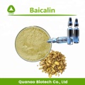 Anti-Microbial Material Scutellaria Baicalensis Root Extract Baicalin 85% HPLC Manufactory