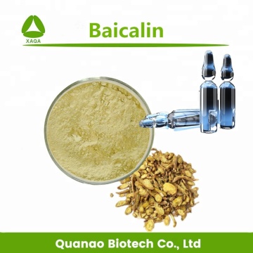 Scutellaria Baicalensis Root Extract Baicalin 85% HPLC