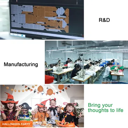 Quinn Women's Cosplay Costume - Popular High-Quality Party Option