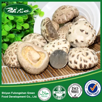 Dreid Flower Mushroom