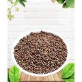 Perilla Seed Corean Food