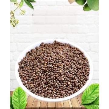 Perilla seeds for birds food