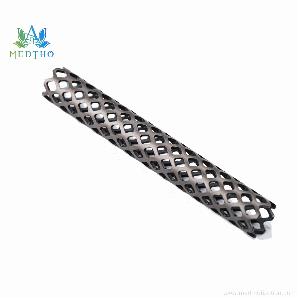 Titanium mesh cage