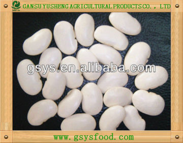 large white kidney beans