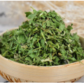 Sachets de coriandre séchée à saveur fraîche