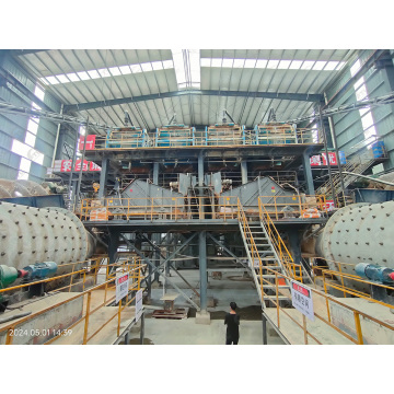 High-Performance Lithium Ore Processing Plant: Floatation Separation, Tailings Dewatering, and Comprehensive Recovery System