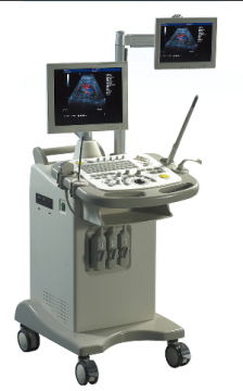 Color Ultrasound Guidance System (KMD6000P-1)