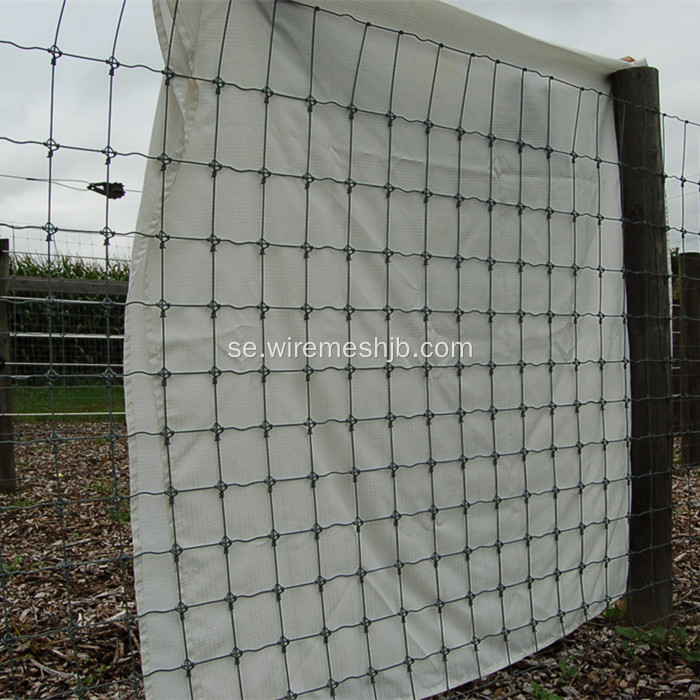 Grasgardin-Hotdoppad Galvaniserad Kraal Network Fence