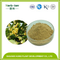 Chrysin Powder 98% Chrysin Oroxylum Indicum Extract Chrysin Powder Supplier