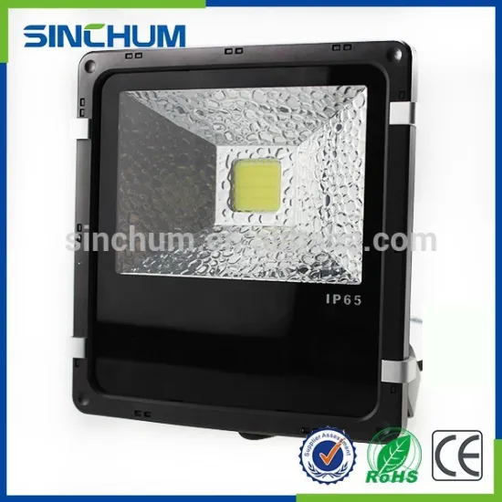 Historical buildings exterior lighting 220v 30w led floodlight