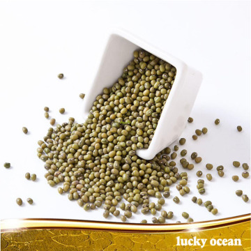 specification organic wholesale green mung bean
