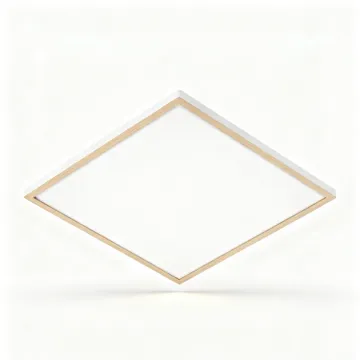 Ceiling Light with Remote Control Feature