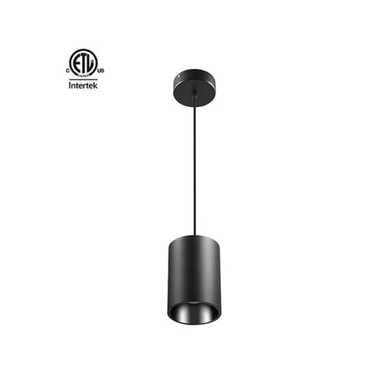 Black Body Color 30W 2700LM Master Series LED Commercial Downlight Pendant Installation
