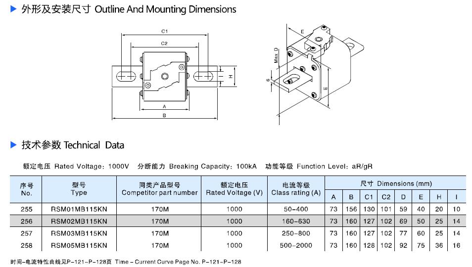 Square semiconductor protection fuse 170M (3)