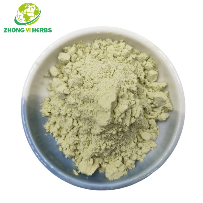 Organic Dried Kiwi Powder