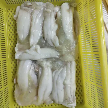 Illex Argentinus Squid Eggs Frozen Squid Roes