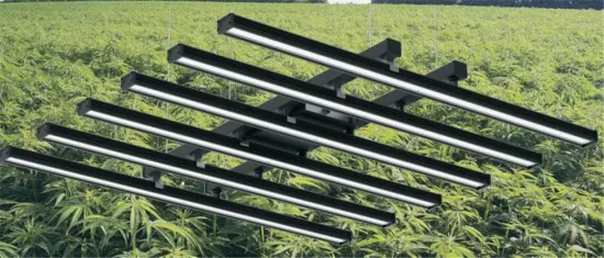 5 years warranty indoor planting growing