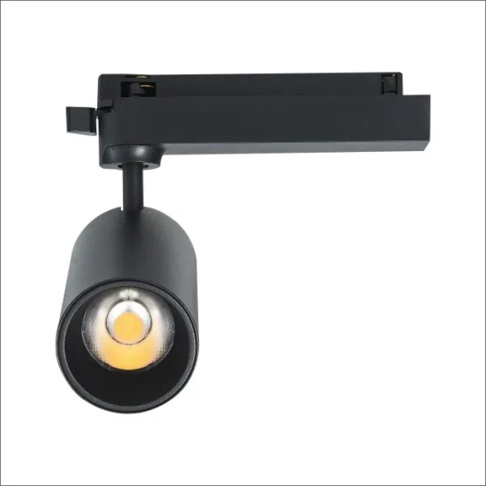 Modern Gold Indoor Track Cob Lighting Rail 30W Zoomable Black LED Magnetic Track Light