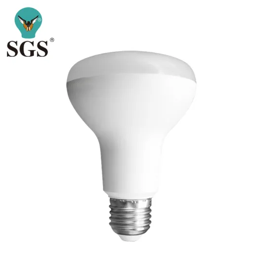 China Factory Offers LED T Bulbs in B22 and E27 Shapes: 9W and 12W LED Light Bulbs for Manufacturing
