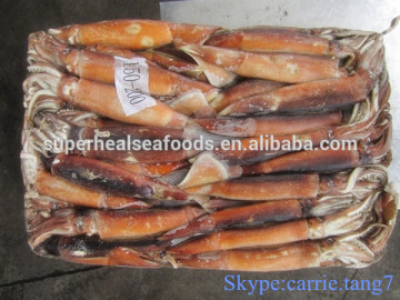 New Arrival Frozen Illex Squid