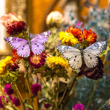 Mariposa para arbol de navidad