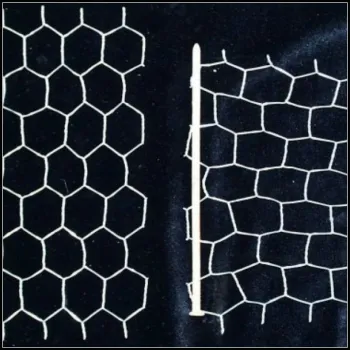 stainless steel galvanized hexagonal chicken wire