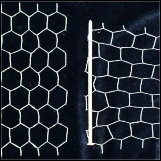 stainless steel galvanized hexagonal chicken wire
