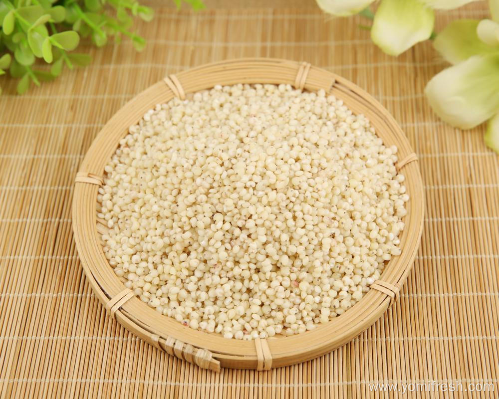 Grain Rice 20Kg