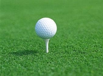 Professional Golf Turf for Standard Field