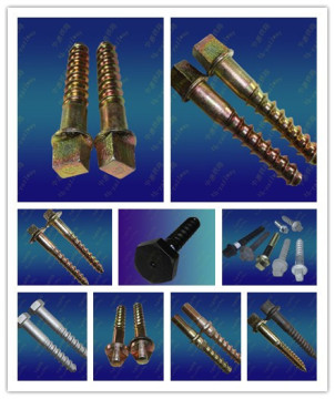 Screw Spikes