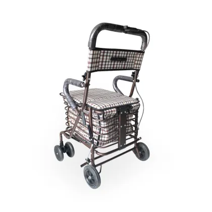 Most popular style walker for home use