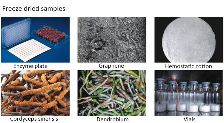 freeze drying lyophilizer